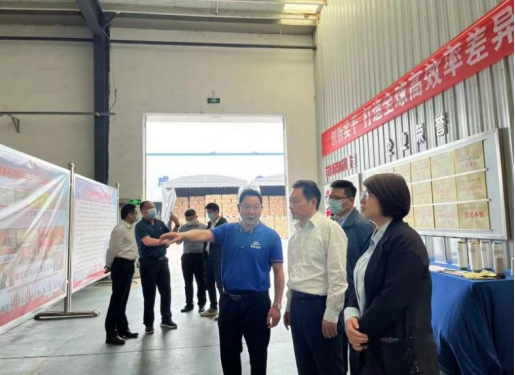 正规滚球app平台