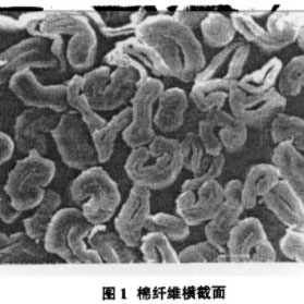 正规滚球app平台