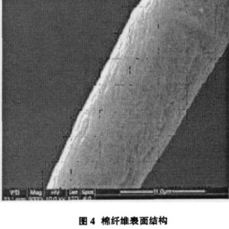 正规滚球app平台