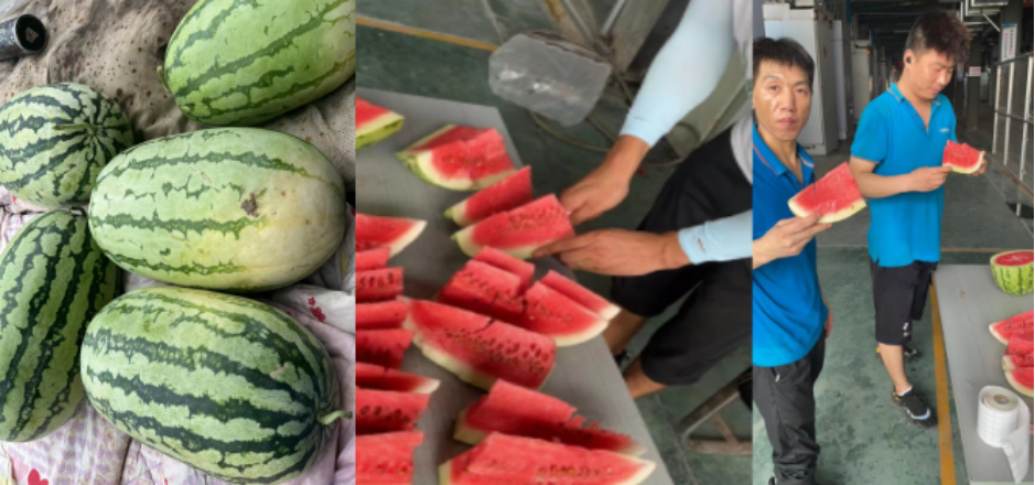 正规滚球app平台