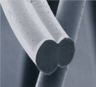 正规滚球app平台