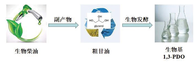 正规滚球app平台