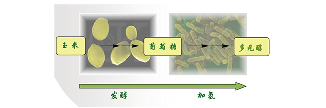 正规滚球app平台