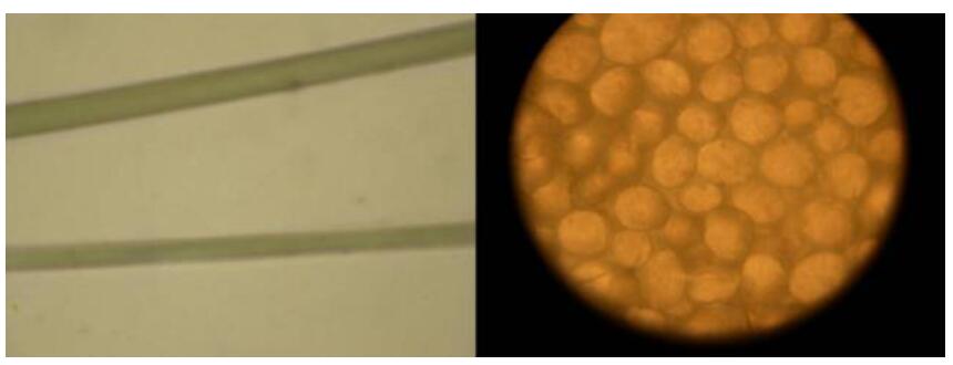 正规滚球app平台