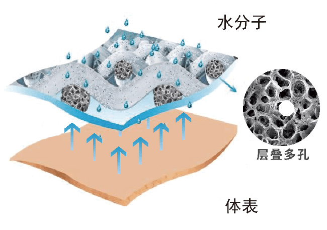 正规滚球app平台
