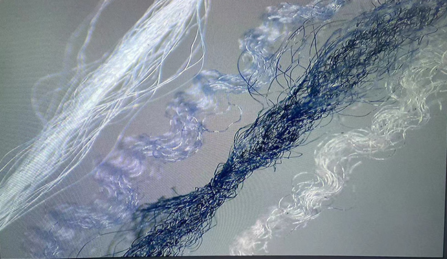 正规滚球app平台