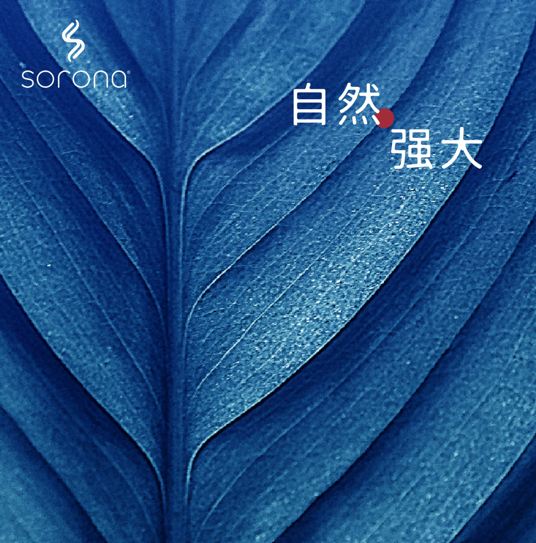 正规滚球app平台