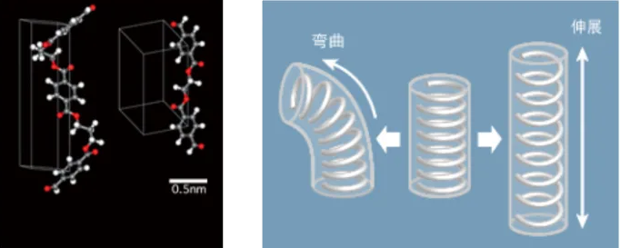 正规滚球app平台