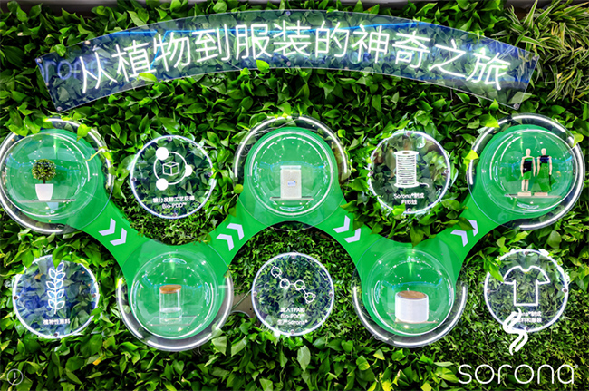 正规滚球app平台