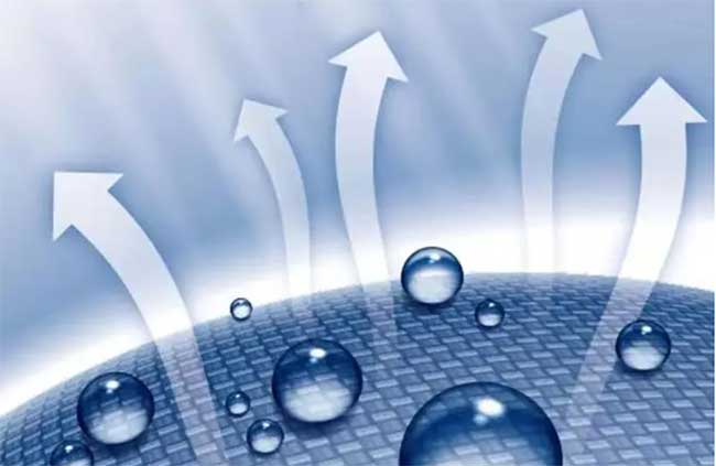 正规滚球app平台